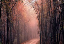 The Rival and the Rescue​