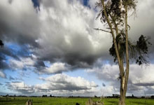  Hilarious Side Characters​