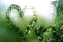 The Midnight Rendezvous