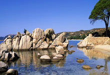 Why Readers Will Love It​